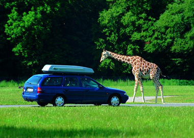 Safaripark auf Lolland, Bent Naesby, VisitDenmark