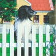 Ferienhaus Dänemark Hund
